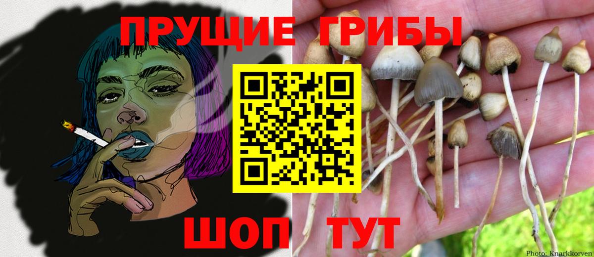 Псилоцибиновые грибы Psilocybine cubensis  Вход с VPN  закладки  Якутск 